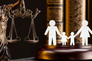 Public Law Essentials